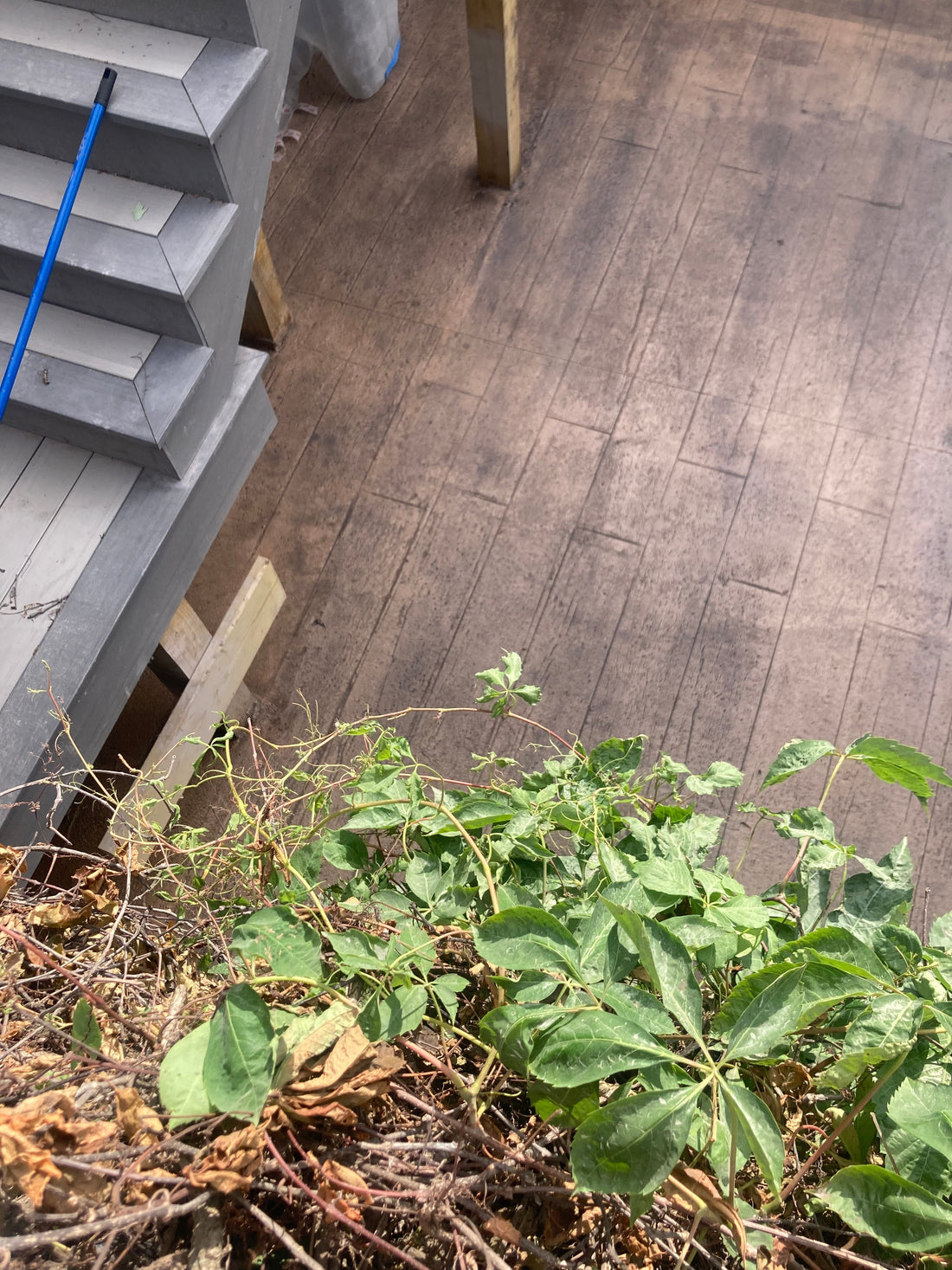 Decorative Concrete Patio Ideas to Transform Your Backyard